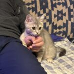 Thumbnail of new posts 142